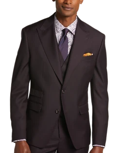 Tayion Classic Fit Suit Separates Coat, Wine Plum